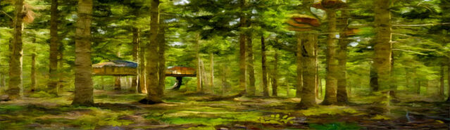 File:Troll camp.jpg