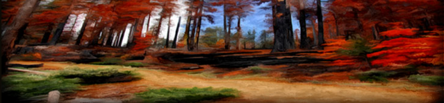 File:Blood Forest.png