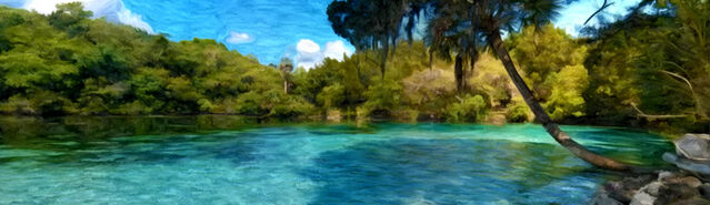 File:Banner---tropical-water1.jpg