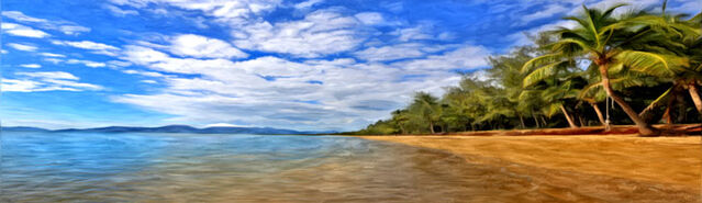 File:Banner---tropical-coast2.jpg
