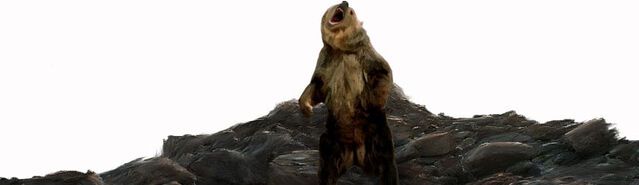 File:Npc-bear1.jpg