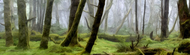 File:Banner---forest8.jpg