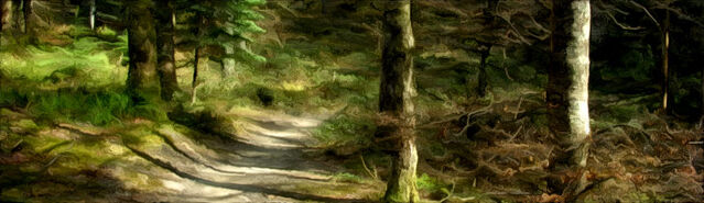 File:Banner---forest-path1.jpg