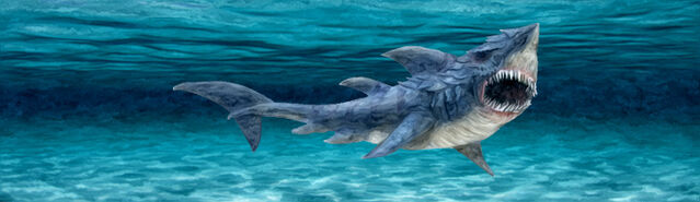 File:Initium DireShark.jpg