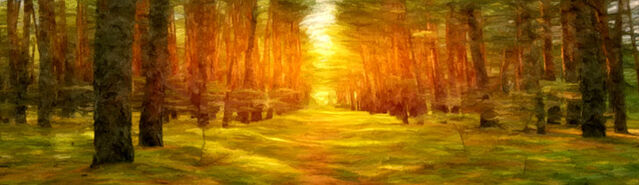 File:DarkWoodPass.jpg