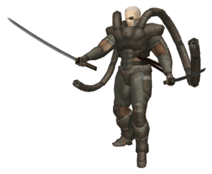 Solidus Snook