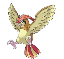 Pidgeotto