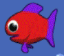 Rainbowguppy