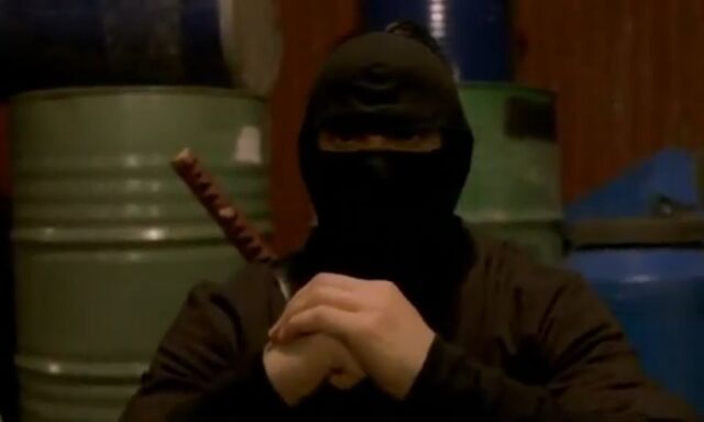 File:The Ninja.jpg