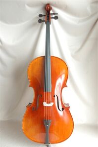 DSC 3359