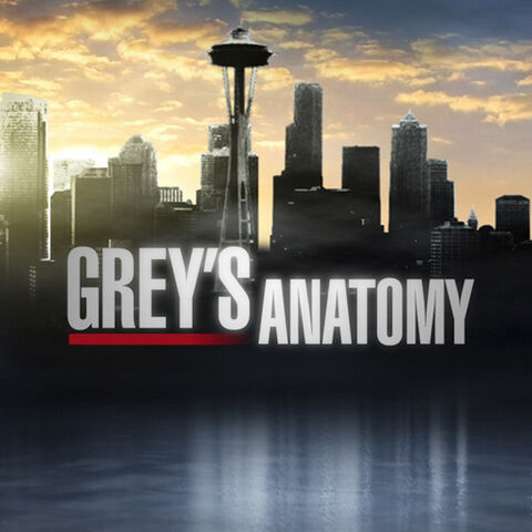File:Greys Anatomy.jpg