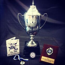 Trans Tasmen Champision League cup
