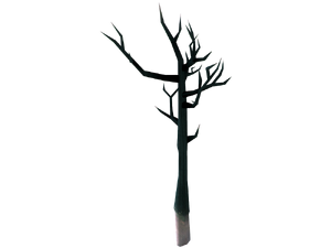 Maple sapling growing
