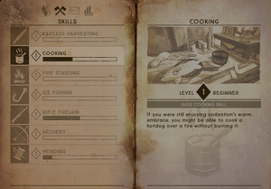 Skills journal3