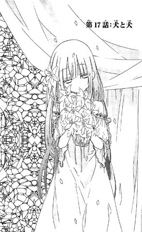 File:Chapter 17 Cover.jpg