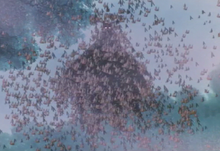 Moth cloud
