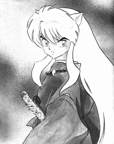 Fitxer:Inuyasha manga.jpg