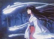Kikyo6.jpg