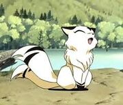 Kirara.jpg