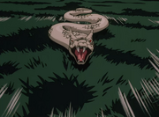 Curse Attack