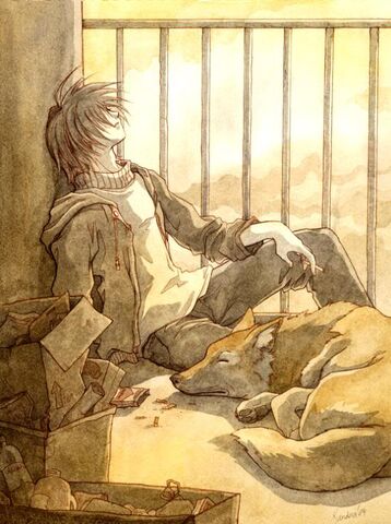 File:Dog.jpg