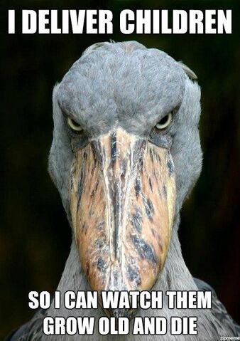 File:Evil-stork-meme.jpg