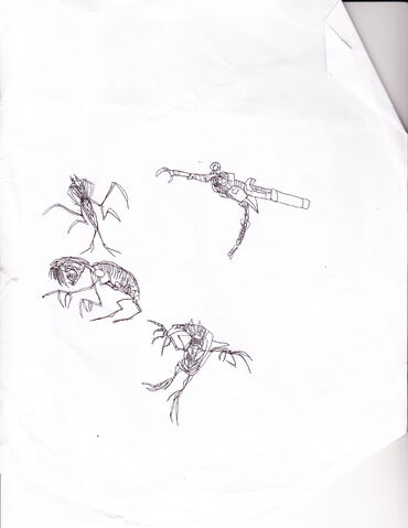 File:IMG 0006.jpg