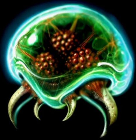 File:A-metroid.jpg
