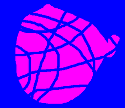 Szaria 4