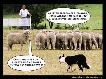 PPP-osszeesk-humor.jpg