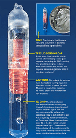Rfid.verichip-details.gif