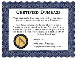 Dumbass1