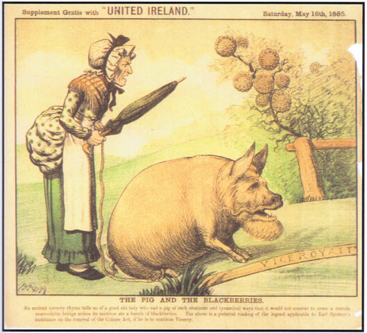 File:1885-05-23 Reigh pig blackberries.jpg