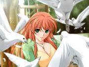 Nobara