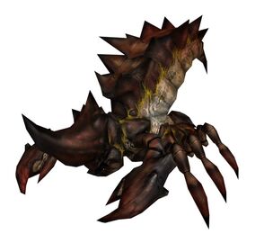 Thorn Beetle Queen