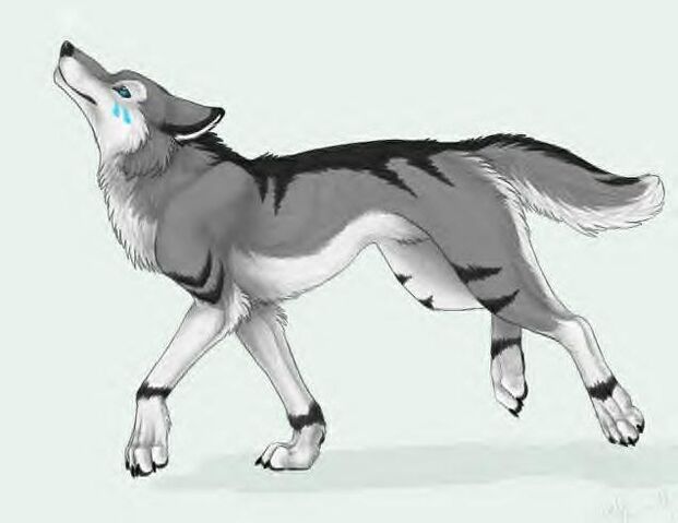 File:Anime-wolves-27295106-636-491.jpg