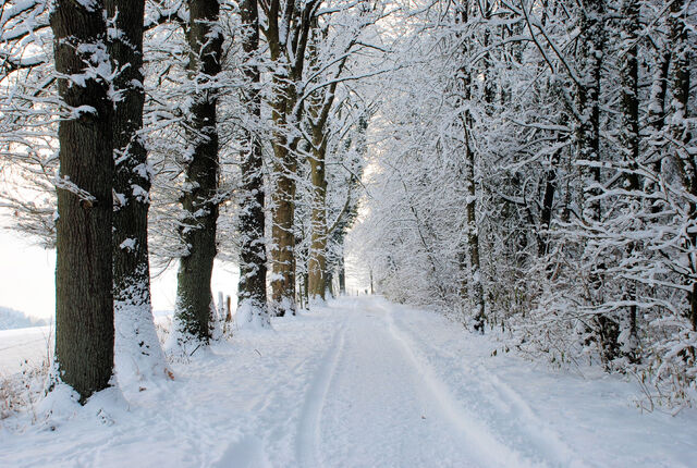 File:Winter-Path.jpg