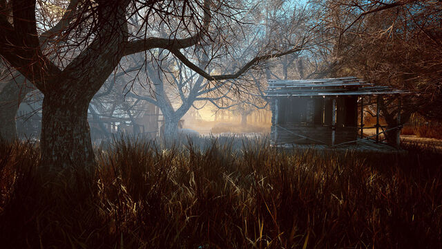 File:Spooky swamp.jpg