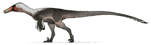 File:King Austroraptor The Isle.jpg