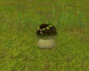 Stonespore Fungus