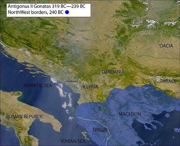 Фајл:738px-240bcAntigonusIIGonatas.jpg