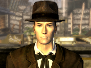 558px-VulpesIncultaIncognito.png