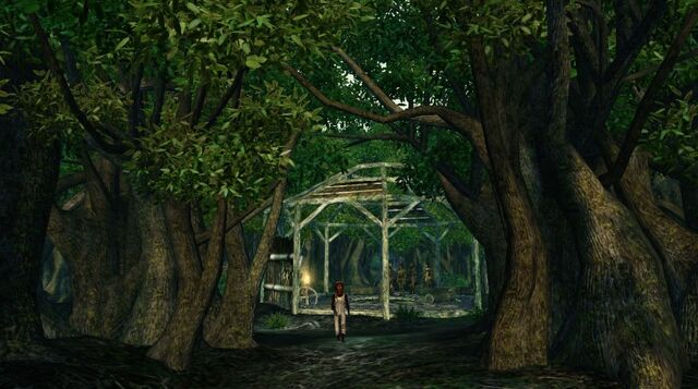 File:767px-Oasis.jpg