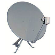 Dish
