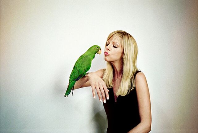 File:Two birds.jpg