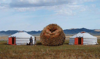 398px-Inflatable-hedgehog