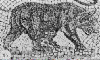 352px-Roman-Age Ethiopian Bear Mosaic