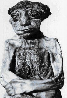 Nimerigar