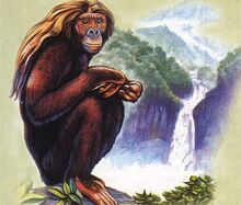 Orang pendek-Sumatra-Indonesia