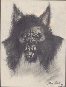 M dogman